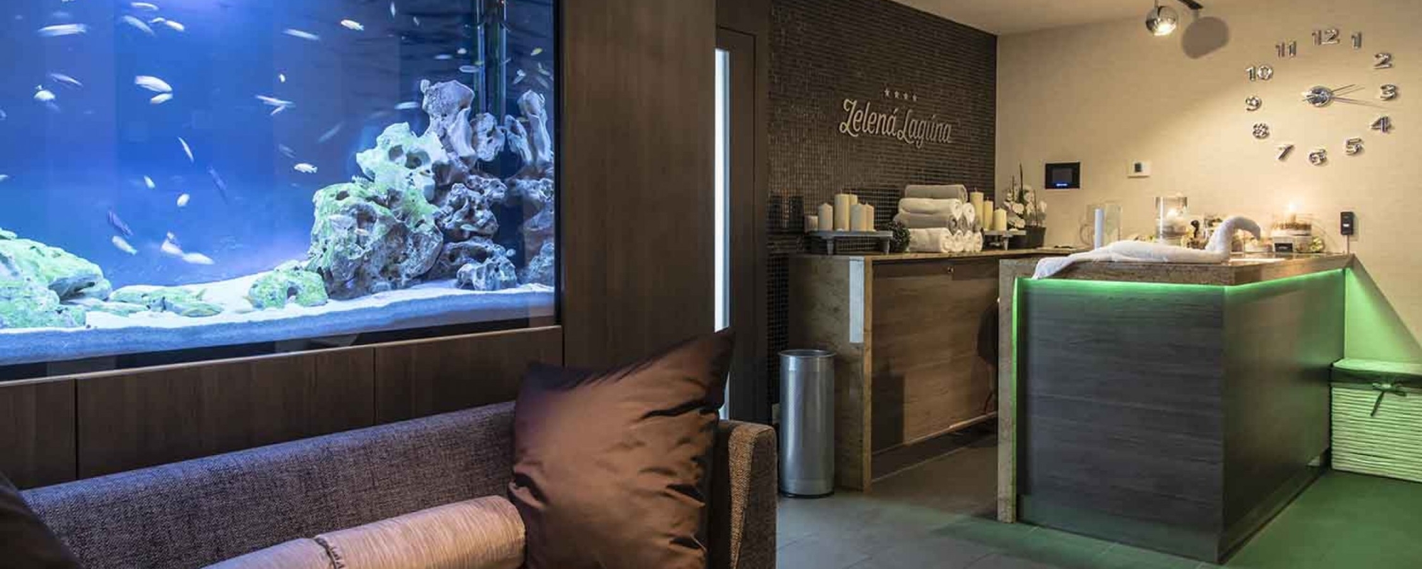 Recepcia wellness